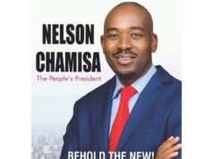 Nelson Chamisa