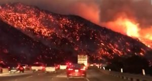 Wild Fire